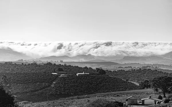 Vista panoramica di una fitta coltre di nebbia che avanza su una valle coltivata a terrazze, con cielo sereno sopra e case coloniche visibili sotto il fronte nuvoloso, fotografia in bianco e nero