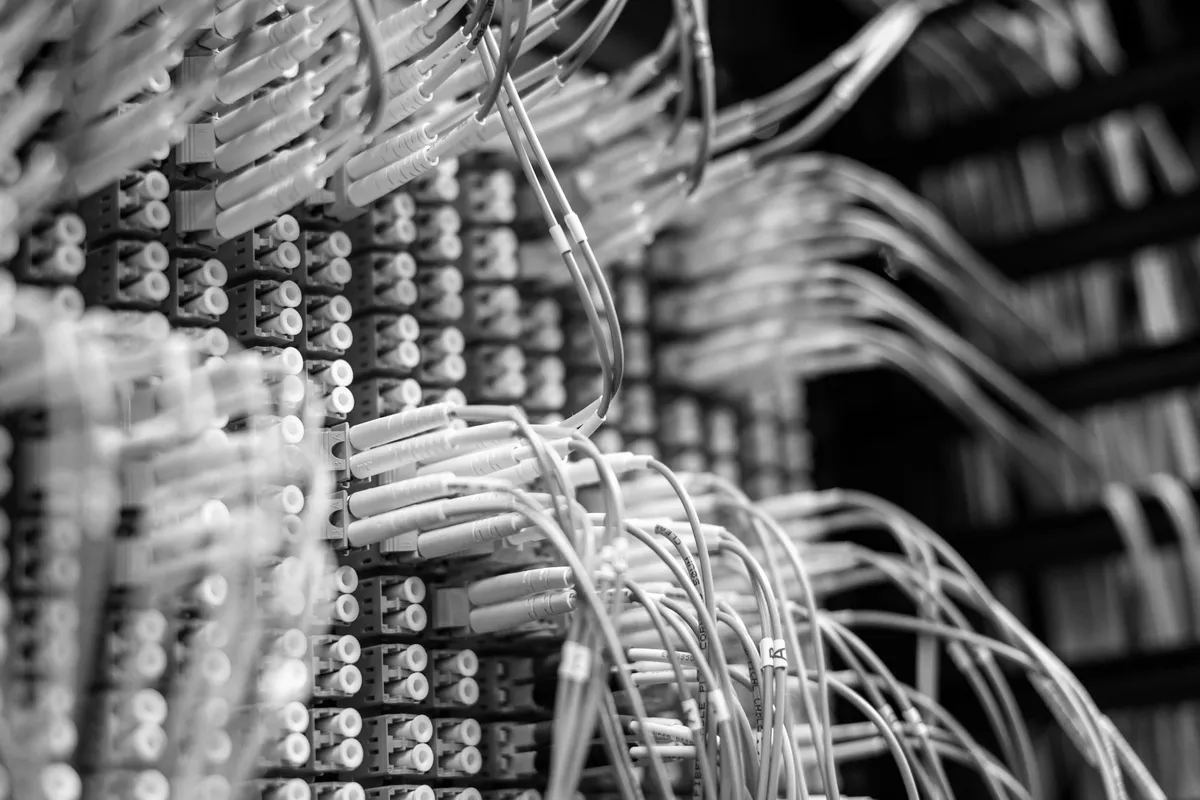 A bundle of fibre-optic cables plugged into a patch panel in a network cabinet, in black and white