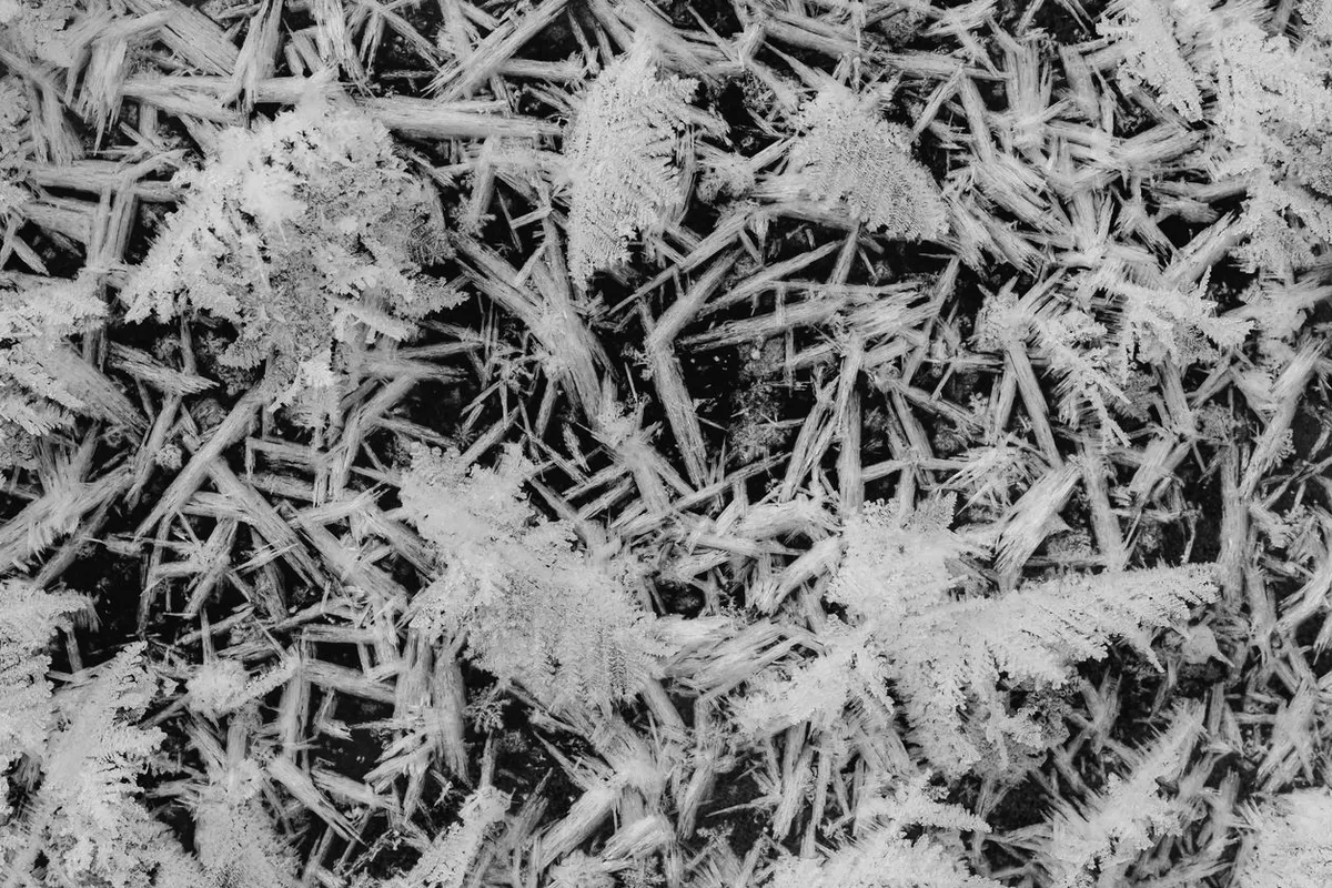 Cristalli di brina ravvicinati su una superficie scura, texture aghiforme e intrecciata, fotografia in bianco e nero