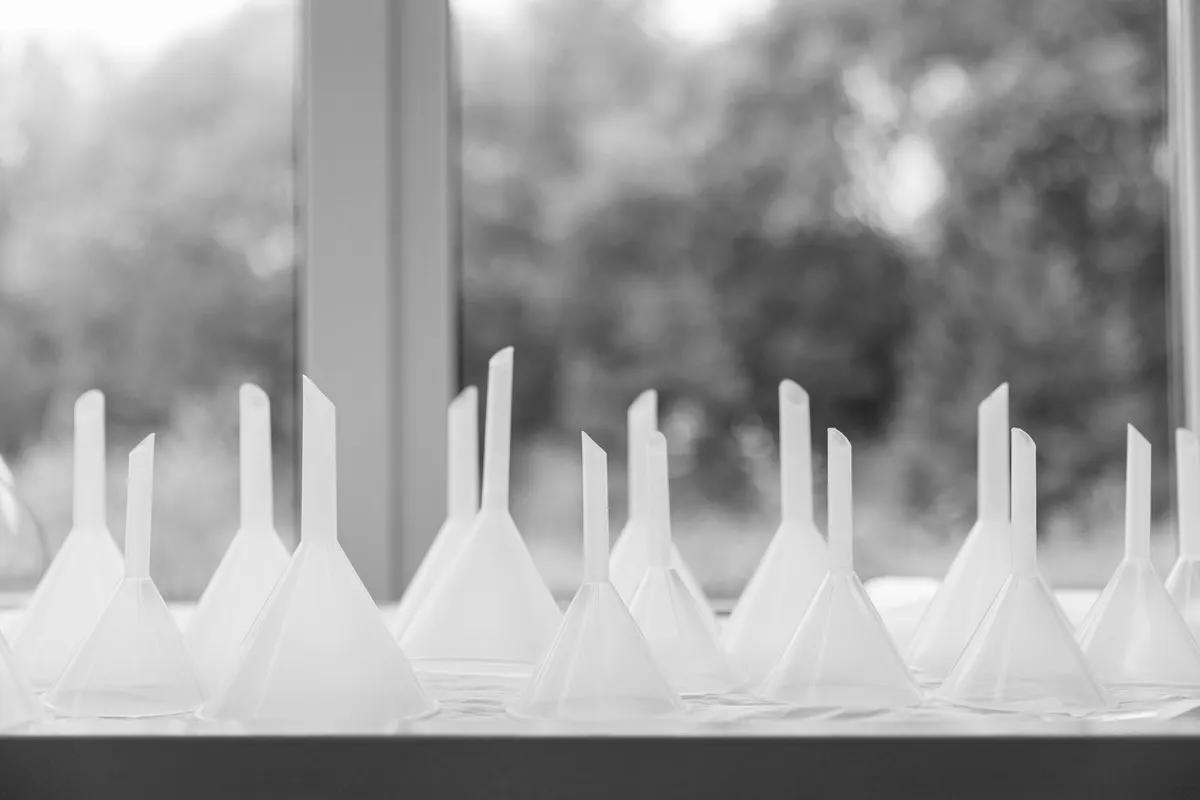 A row of laboratory funnels backlit on a windowsill, black and white photograph