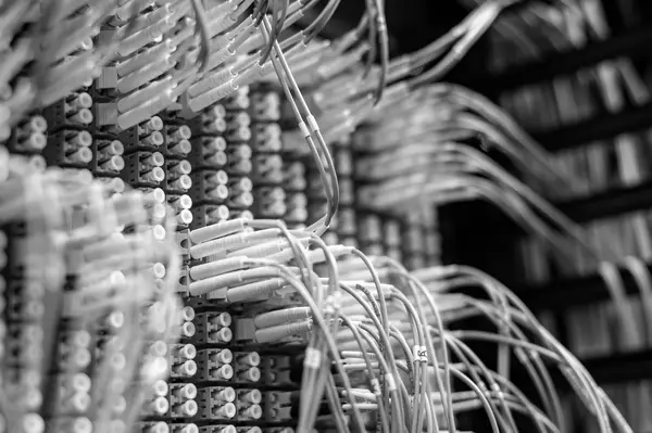 Permutatore in fibra ottica con file di connettori e bretelle intrecciate in un armadio di rete, fotografia in bianco e nero