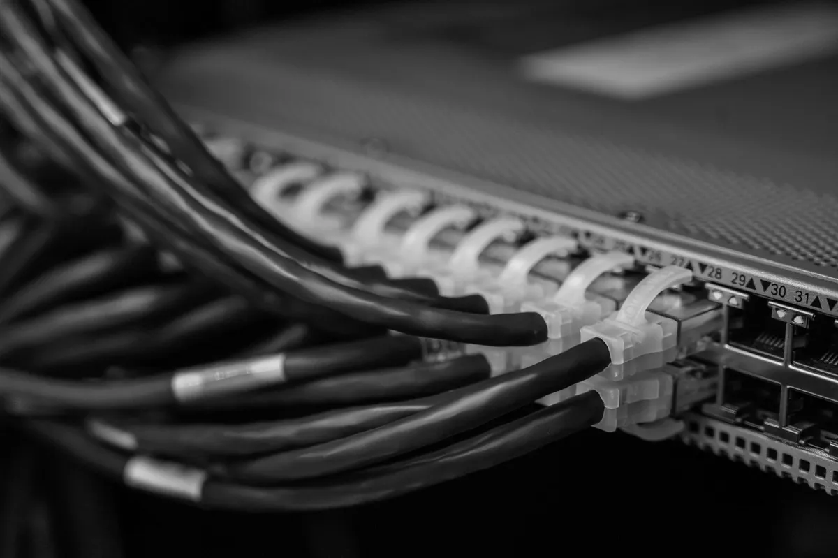 Network cables plugged into the ports of a switch in a server rack