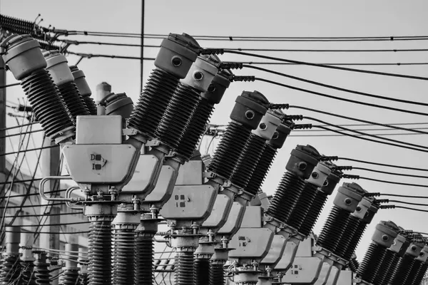 Una fila di sezionatori e isolatori ad alta tensione in una sottostazione elettrica, cavi tesi contro un cielo uniforme, fotografia in bianco e nero