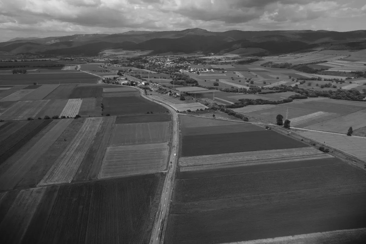 Black-and-white aerial view of cultivated fields crossed by a road, with no satellite reference in sight