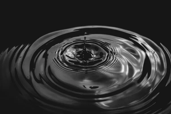 Cerchi concentrici su una superficie d’acqua scura dopo la caduta di una goccia, fotografia in bianco e nero