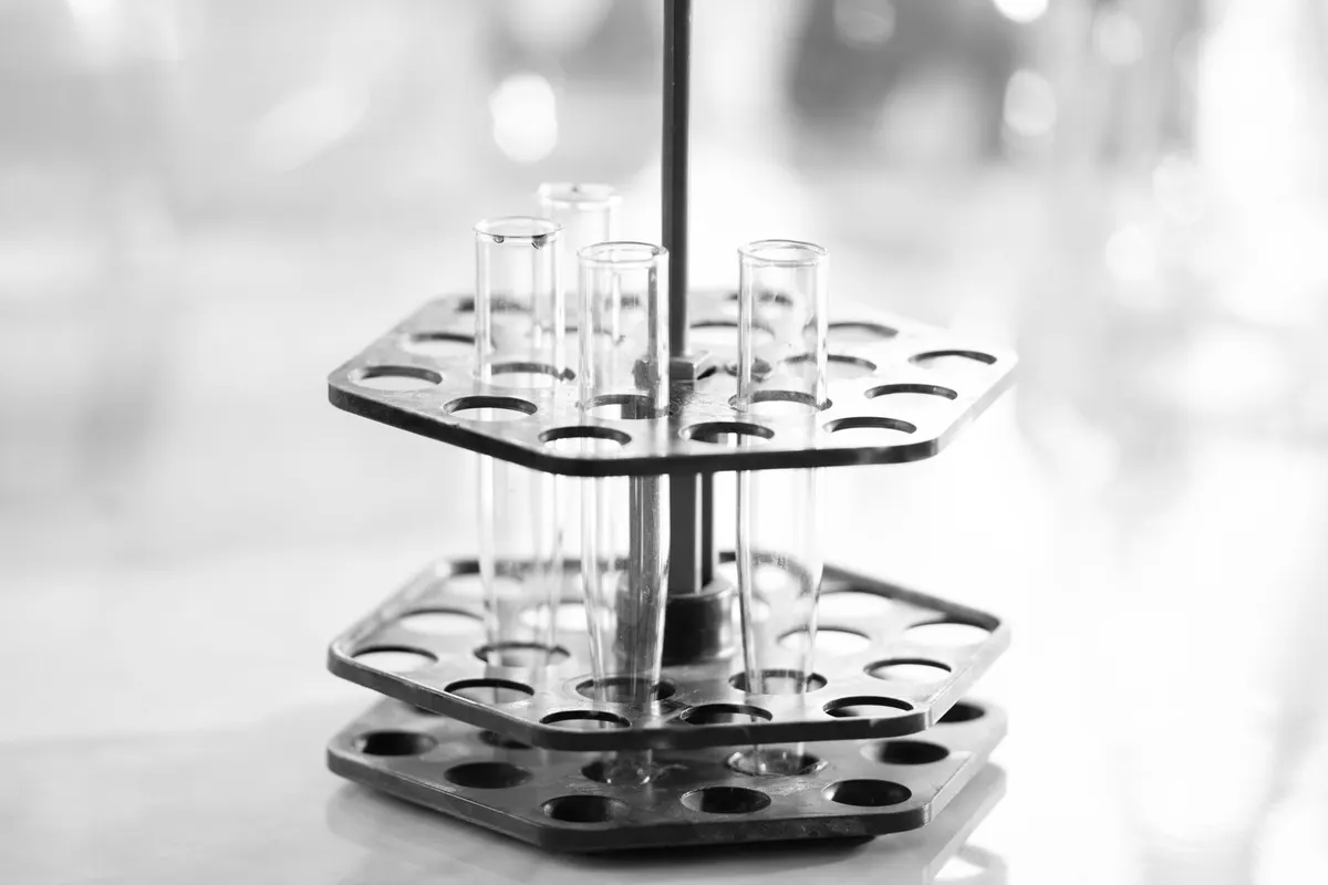Laboratory test tube rack with dozens of empty holes and only four glass tubes inserted, close-up black-and-white photograph