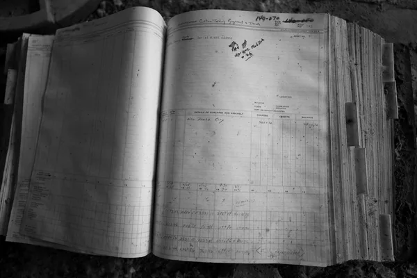 Paper accounting ledger open across two pages, pre-printed columns and handwritten entries, in black and white