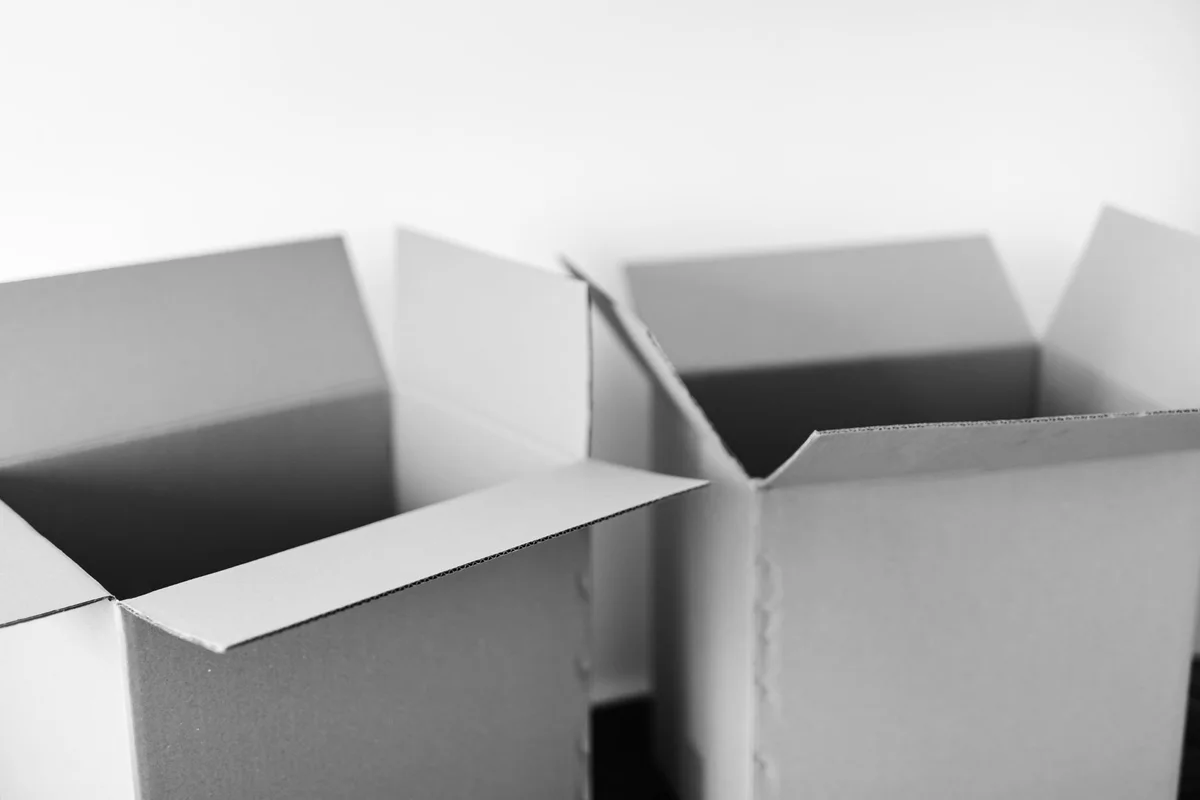 Two open, empty cardboard boxes photographed close-up against a plain background, in black and white