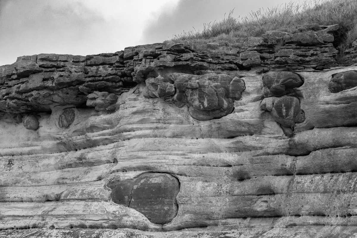 A wall of layered sedimentary rock, black-and-white photograph