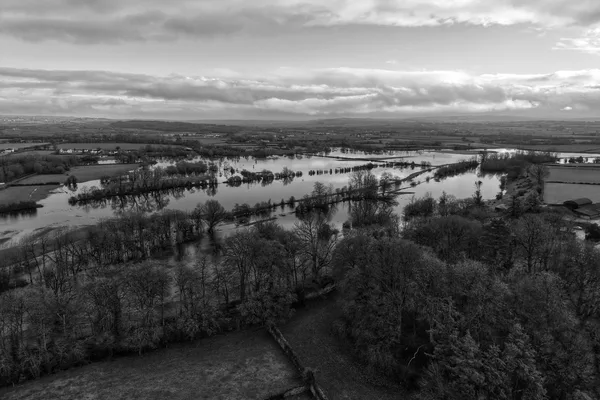 Veduta aerea di una valle fluviale allagata: campi e siepi sott’acqua fra i filari di alberi, fotografia in bianco e nero
