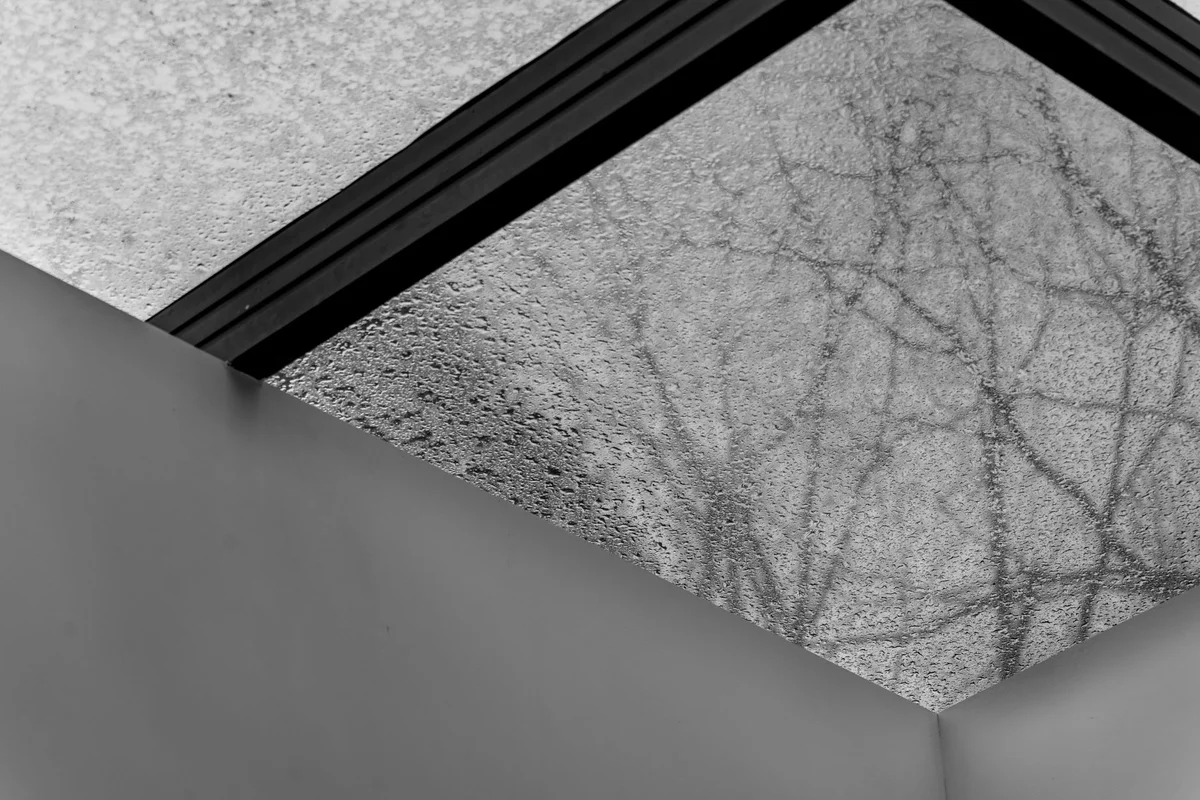 Angolo di un lucernario con vetro smerigliato, ombre di rami visibili ma indistinte attraverso la superficie ghiacciata, fotografia in bianco e nero
