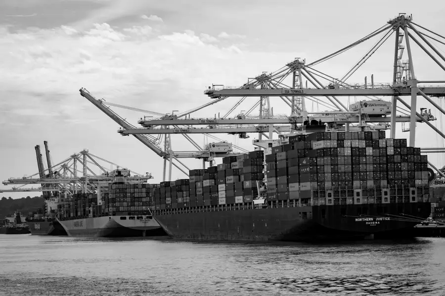 Gru portuali e navi container in un terminal